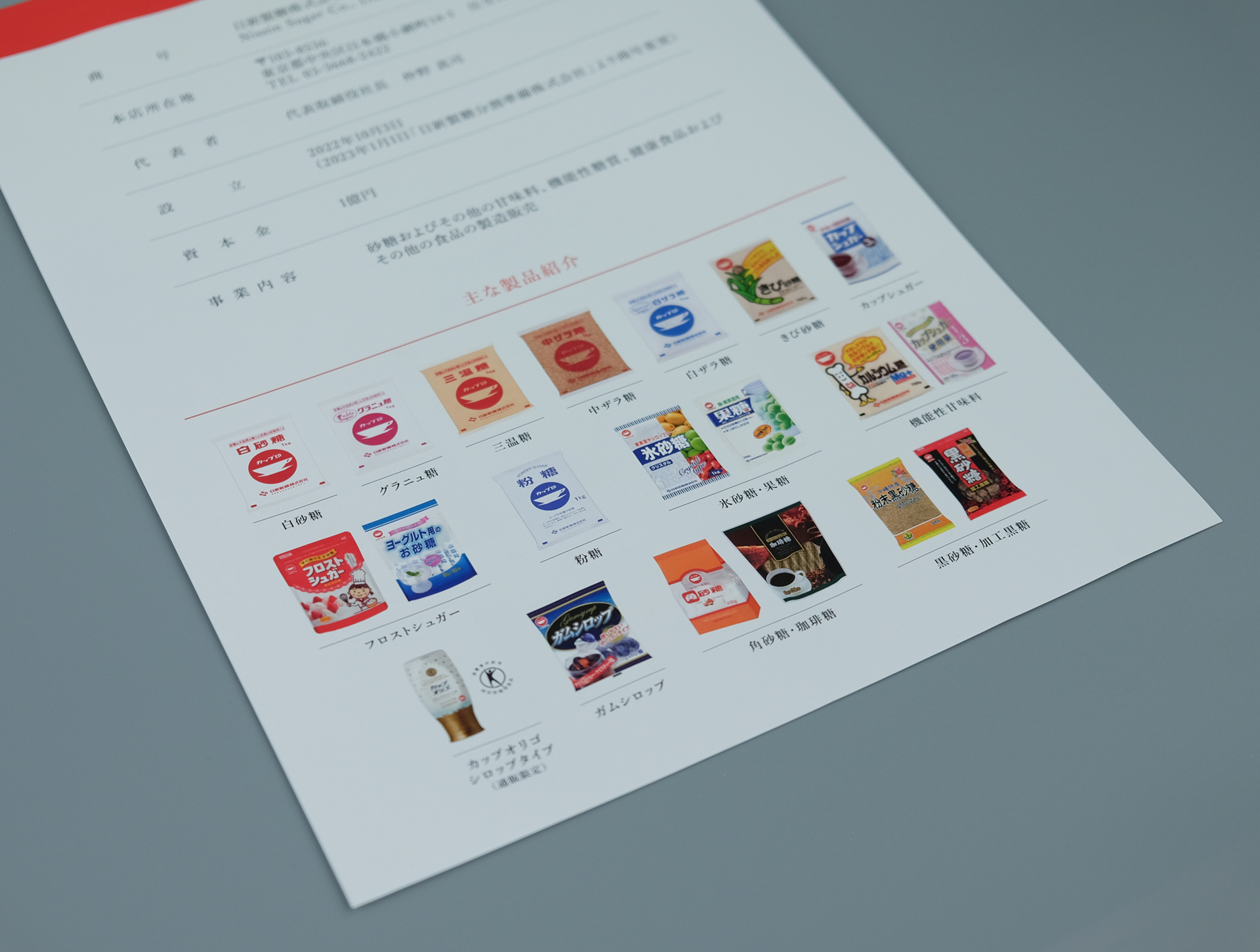 日新製糖の会社概要と商品ラインアップを掲載したリーフレット