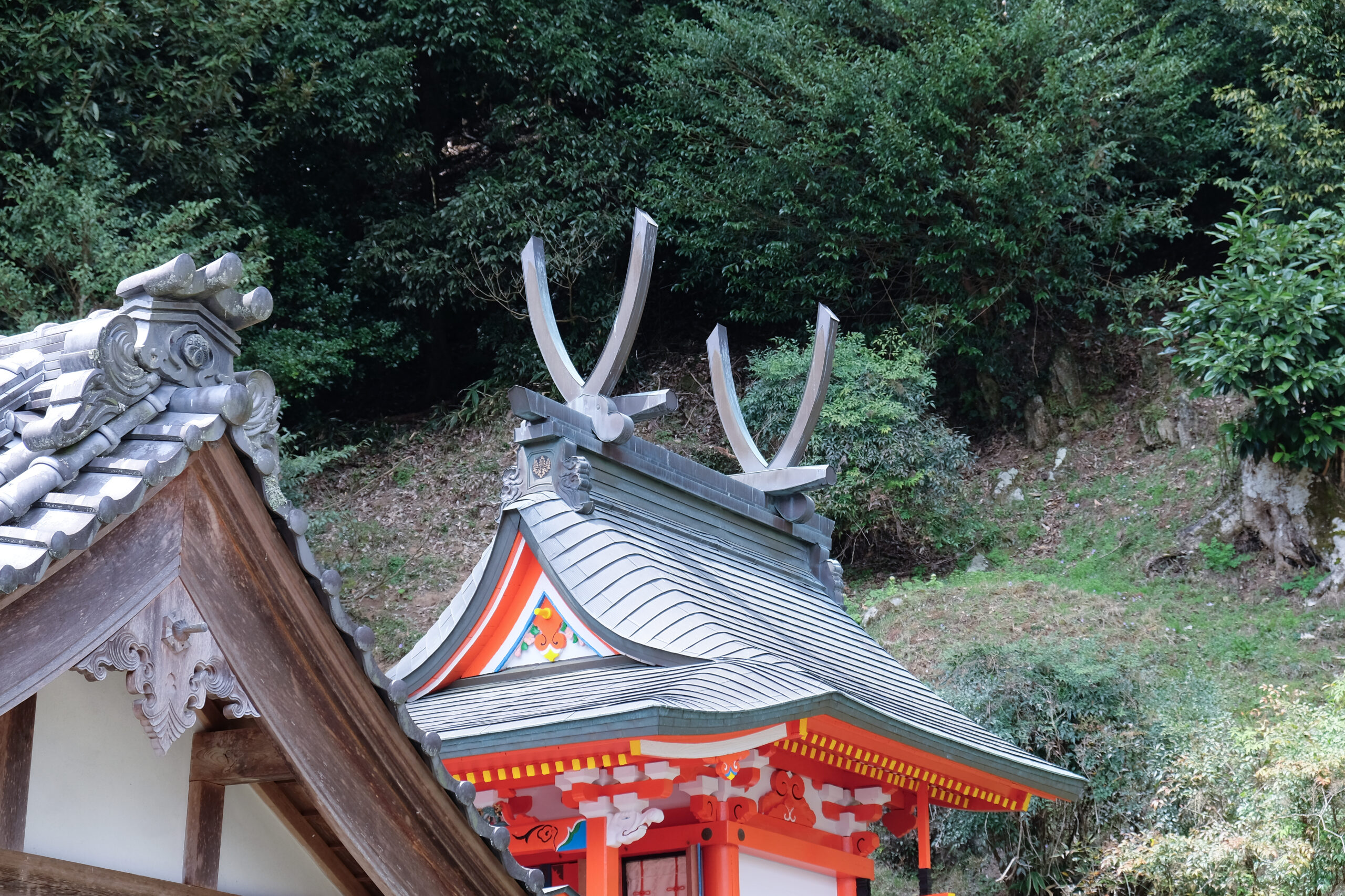 木々を背景にした六所神社本殿の屋根と千木