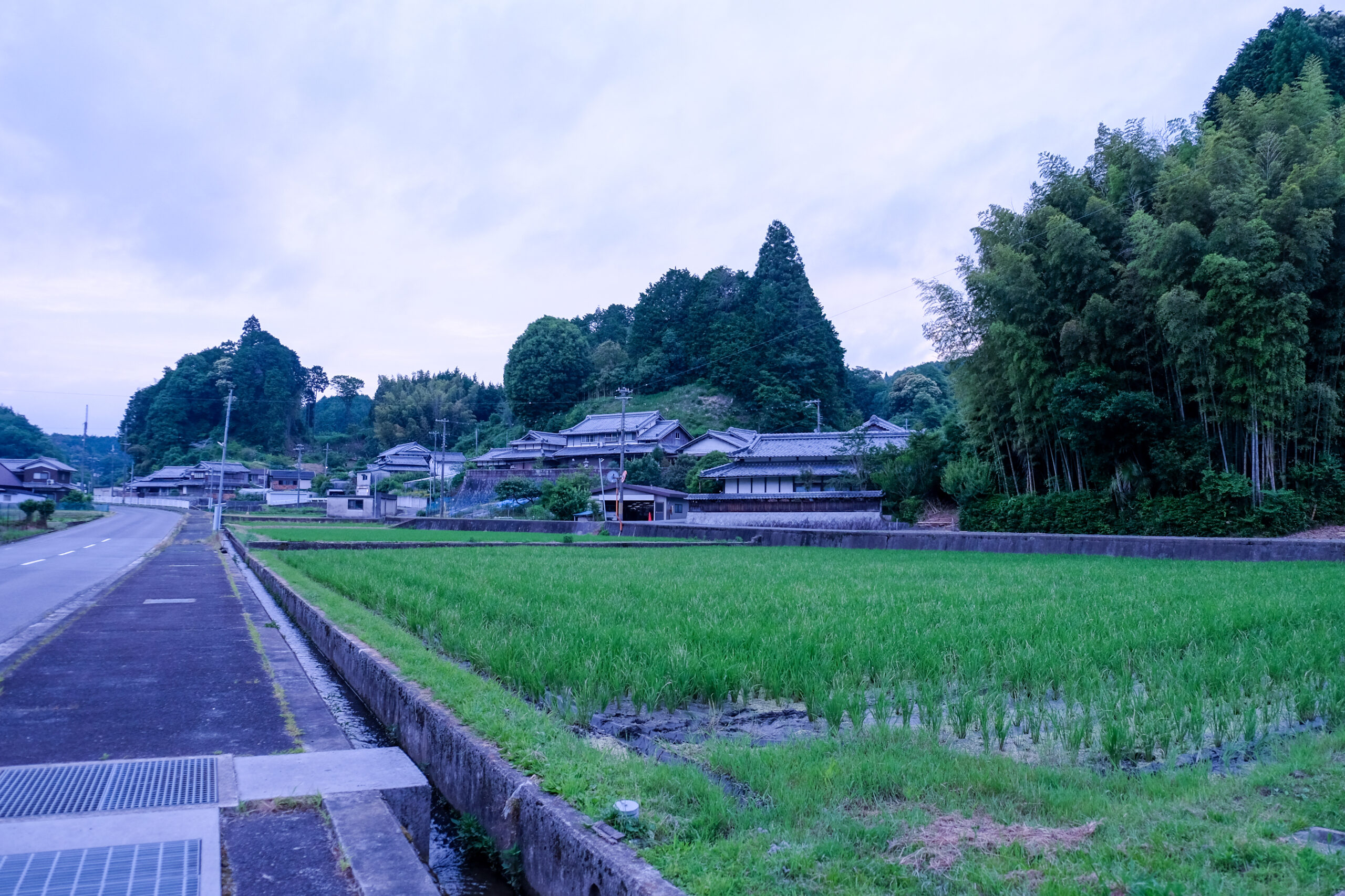 虫送りを迎える夕暮れの田んぼと切幡の集落