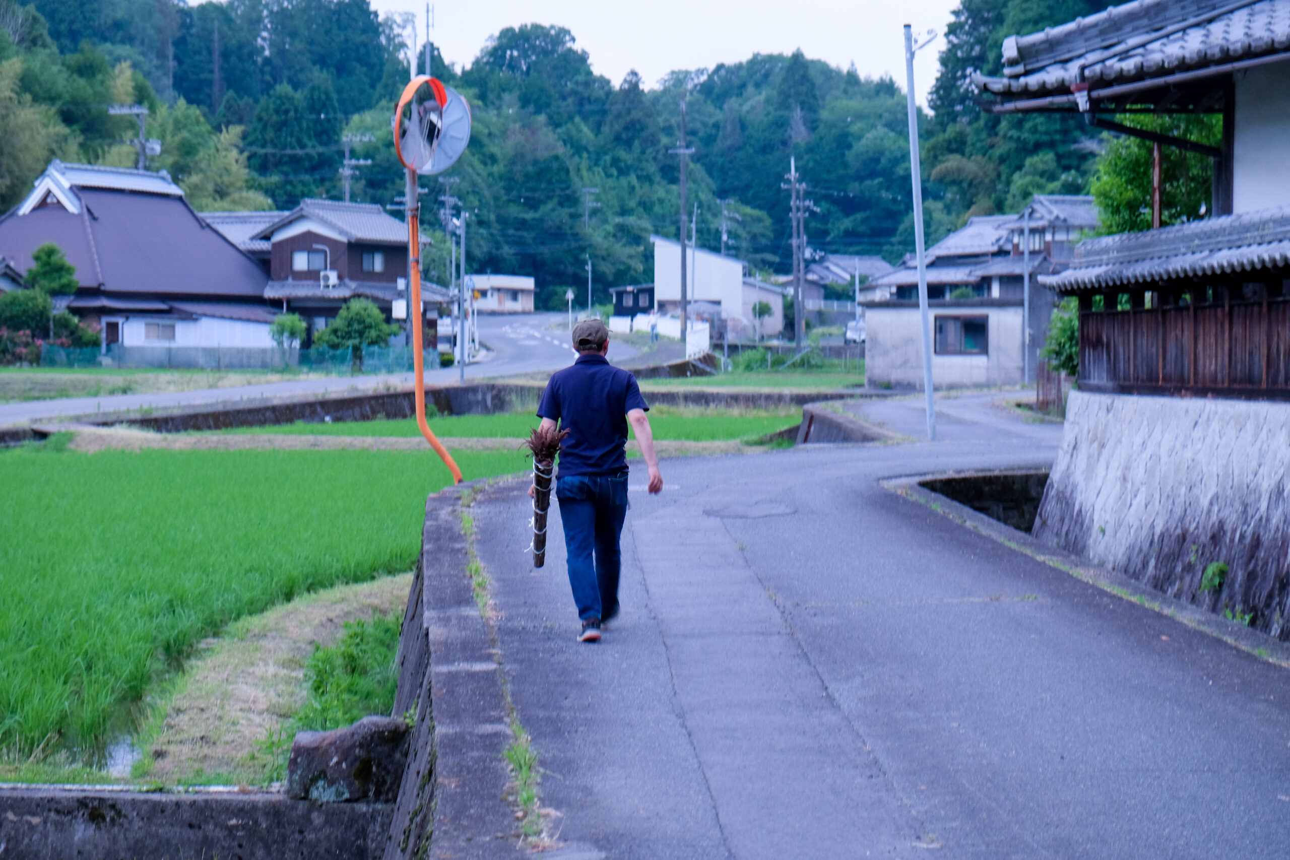 松明を手に田んぼ沿いの道を歩く人